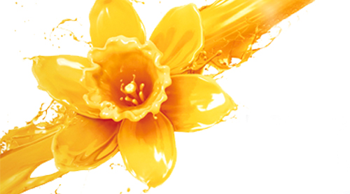 XPJ(中国区)有限公司